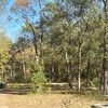 Mobile Home for Sale: 1985 Mobile Home