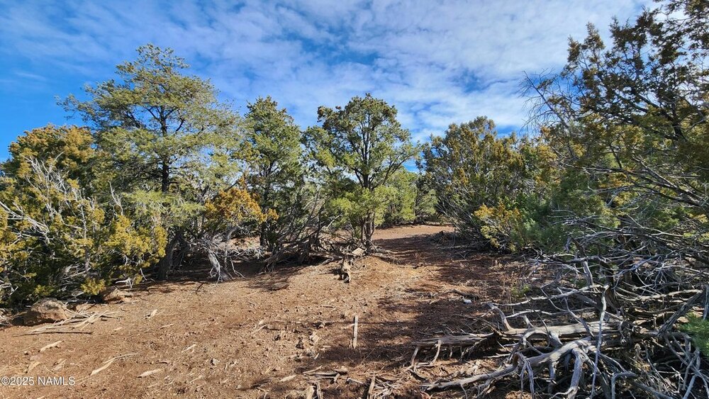 Photo of Mobile Home Lot