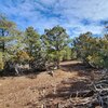 Photo of Mobile Home Lot
