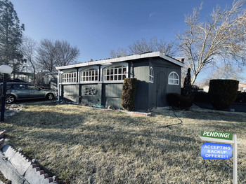 Photo of 24 Blue Gem | Don't Miss Out! REDUCED! 