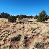 Photo of Mobile Home Lot