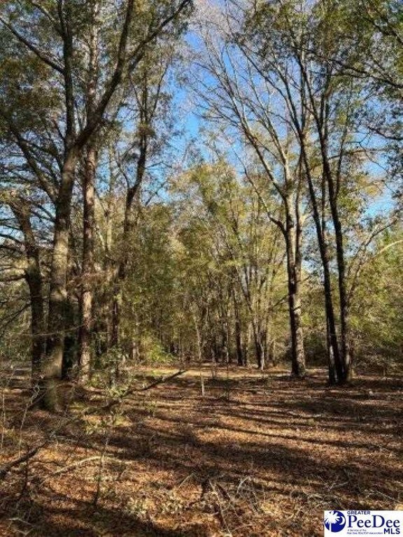 Photo of Mobile Home Lot