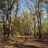 Photo of Mobile Home Lot