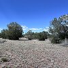 Photo of Mobile Home Lot