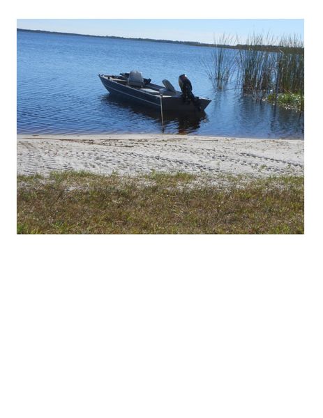 Photo of RV Lot