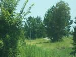 Photo of Mobile Home Lot