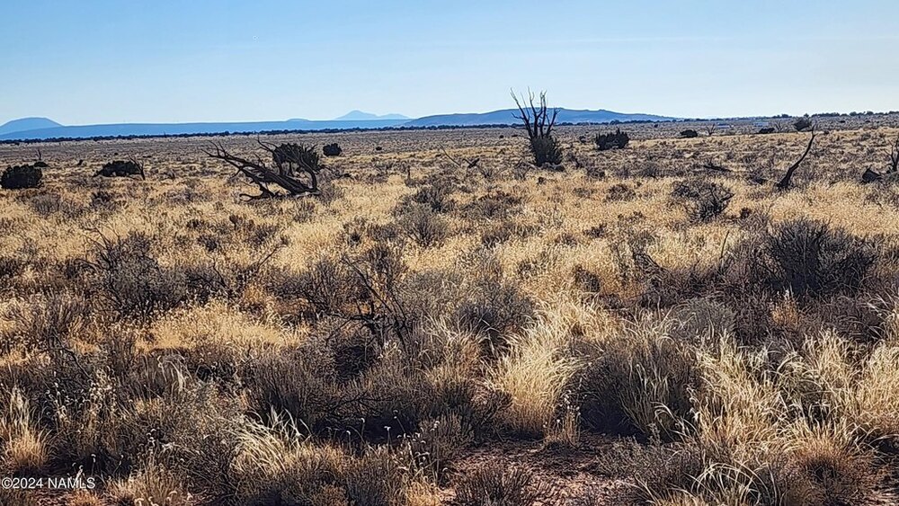 Photo of Mobile Home Lot
