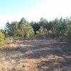 Mobile Home Lot for Sale: Acreage,Lot-Mobile Home,Res. Single Fam Lot - McBee, SC, Mcbee, SC