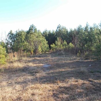 Photo of Mobile Home Lot