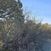 Photo of Mobile Home Lot