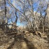 Photo of Mobile Home Lot