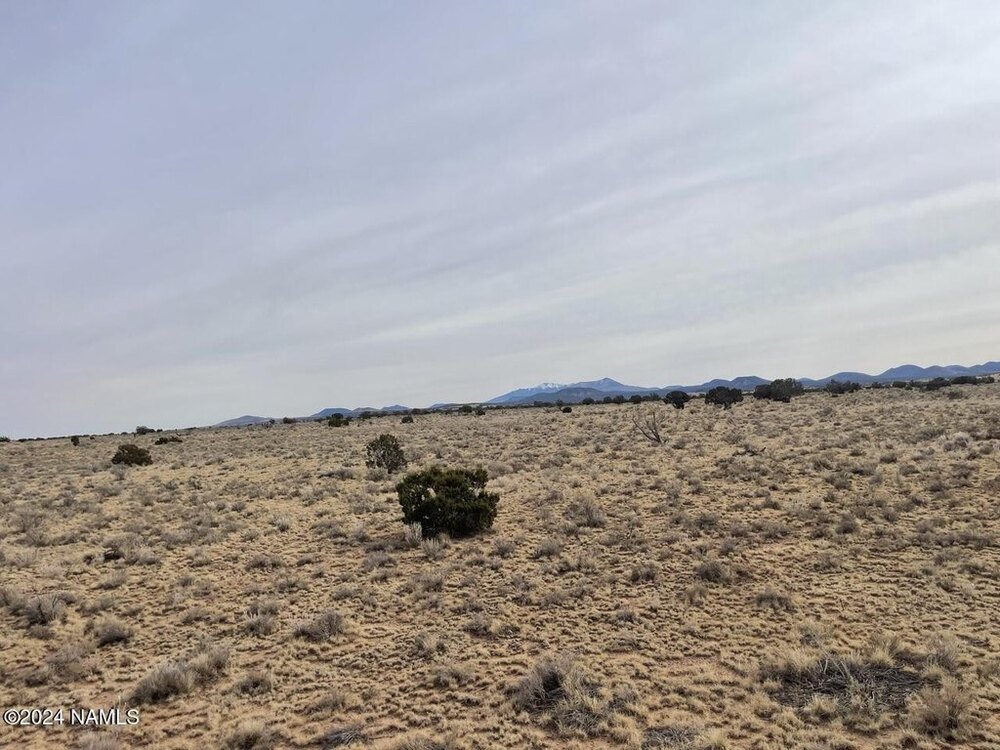 Photo of Mobile Home Lot