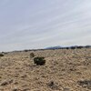 Photo of Mobile Home Lot