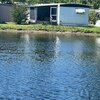 Mobile Home for Sale: Mobile Home, Mobile/Manufactured - CASSELBERRY, FL, Casselberry, FL