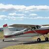Aircraft for Sale: 1977 Cessna A185F
