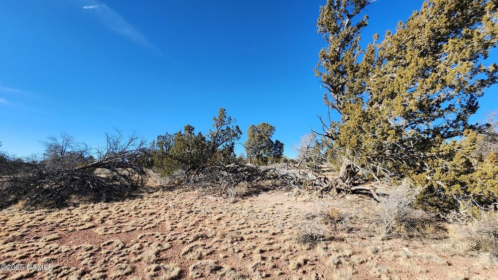 Photo of Mobile Home Lot