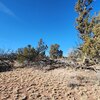 Photo of Mobile Home Lot