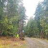 Mobile Home for Sale: 3 Bed 2 Bath 2010 Mobile Home