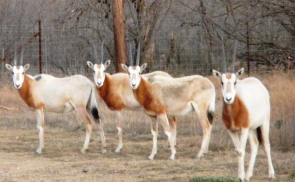 Photo of RV Park/Campground