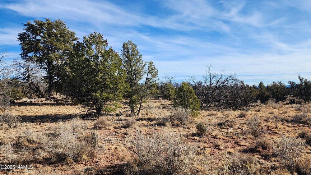 Photo of Mobile Home Lot