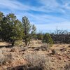 Photo of Mobile Home Lot