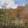 Mobile Home for Sale: 1987 Mobile Home