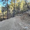 Photo of Mobile Home Lot