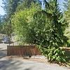 Mobile Home for Sale: 3 Bed 2 Bath 1992 Mobile Home