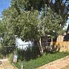 Mobile Home for Sale: 4 Bed 2 Bath 1977 Mobile Home