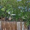 Mobile Home for Sale: 2017 Mobile Home