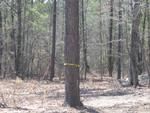 Photo of Mobile Home Lot