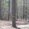 Photo of Mobile Home Lot