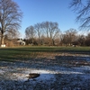 4 acres in park