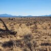 Mobile Home Lot for Sale: Residential/Mobile - Williams, AZ, Williams, AZ