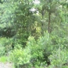 RV Lot for Rent: 404 Seaside Road, Saint Helena Island, SC