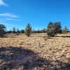 Photo of Mobile Home Lot