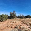 Photo of Mobile Home Lot