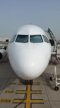 Photo of A319-100