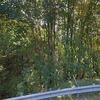 Mobile Home for Sale: 1999 Mobile Home
