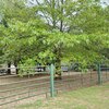 Mobile Home for Sale: Mobile Home, Mobile/Manufactured - Antlers, OK, Antlers, OK