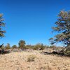 Photo of Mobile Home Lot
