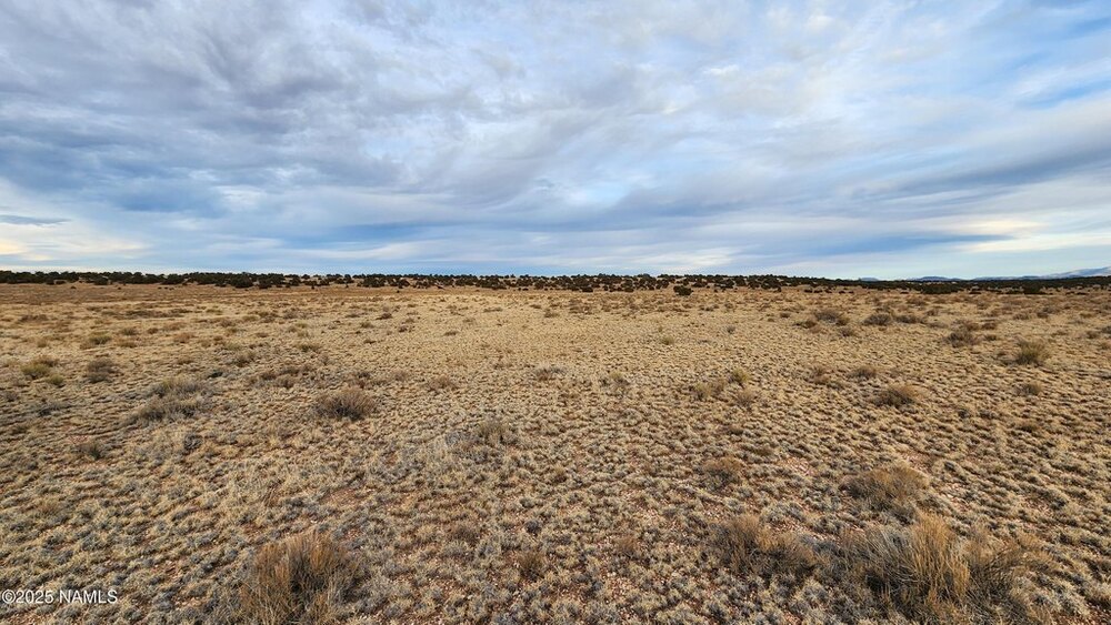 Photo of Mobile Home Lot