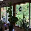 Mobile Home for Sale: 1 Story,Manufactured Home - Manufactured Home on Real Property, Coos Bay, OR