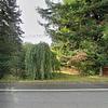 Mobile Home for Sale: 3 Bed 2 Bath 1981 Mobile Home