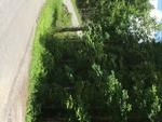 Photo of Mobile Home Lot