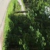 Photo of Mobile Home Lot
