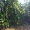 Mobile Home for Sale: 3 Bed 2 Bath 2019 Mobile Home