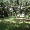 Photo of RV Lot
