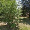 Mobile Home for Sale: 1986 Mobile Home