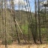 Photo of Mobile Home Lot